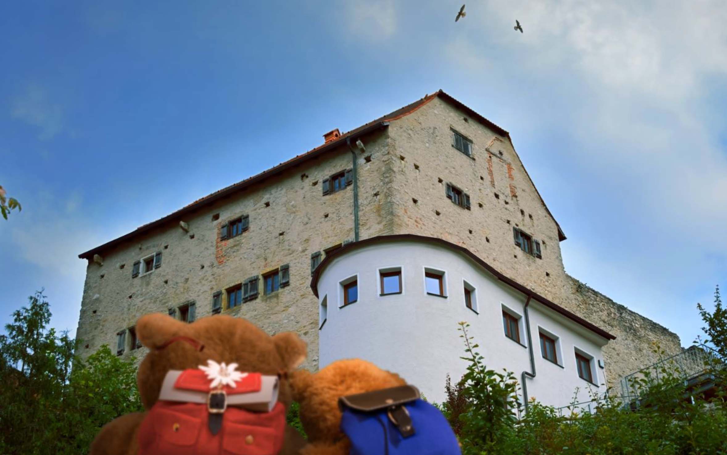 Der kleine Bär, der Opa und die Burg - Bären vor der Burg