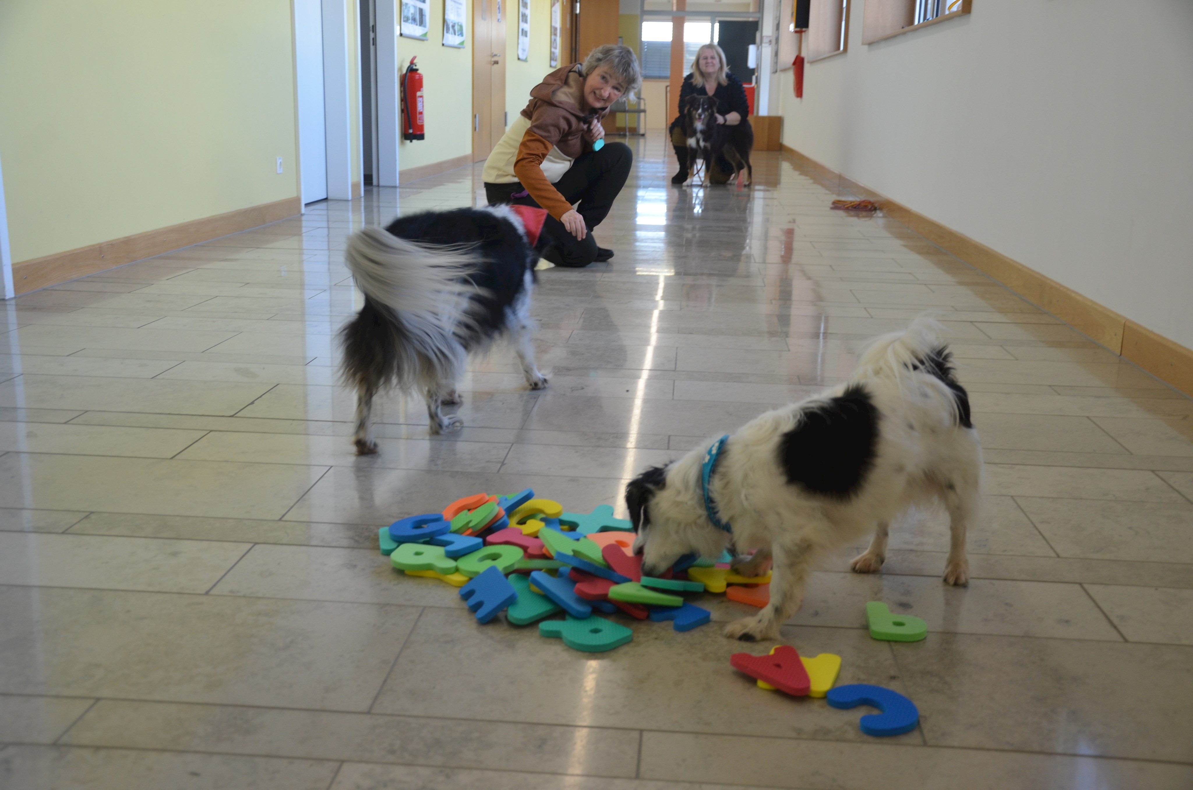 Prof. Dr. Silke Schworm und ihre Lesehunde