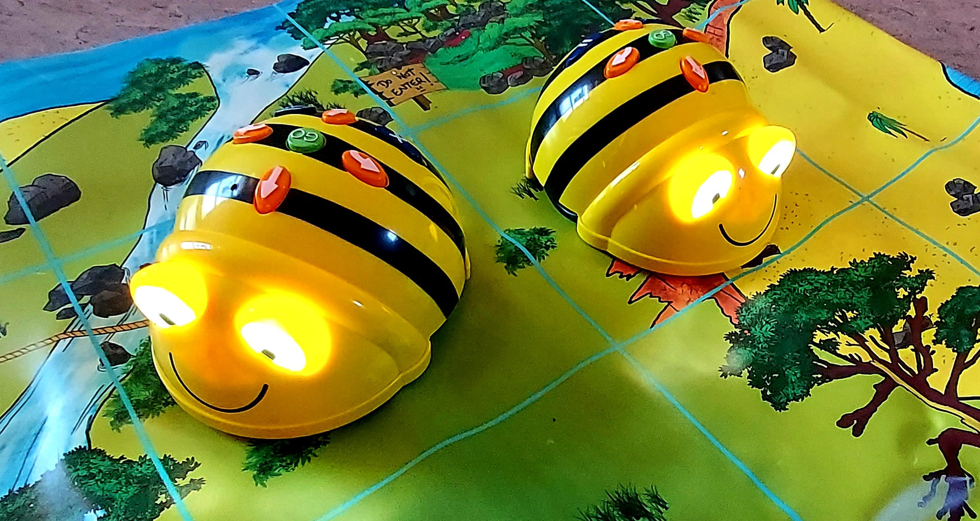 BeeBot